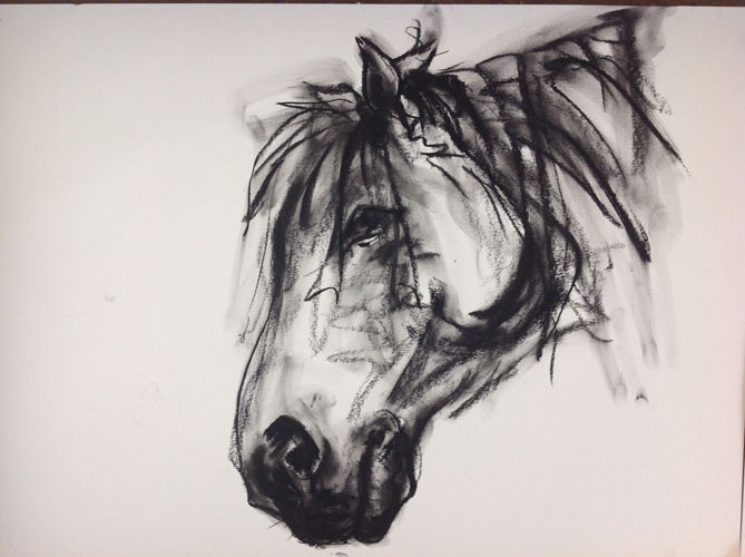 Drawings. Horse. 2014